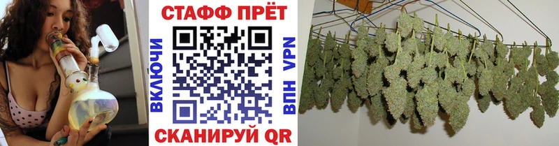 Сколько стоит Бабушкин Бошки Шишки 